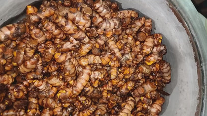 UG® Haldi Powder Amba Haldi (Turmaric Powder)