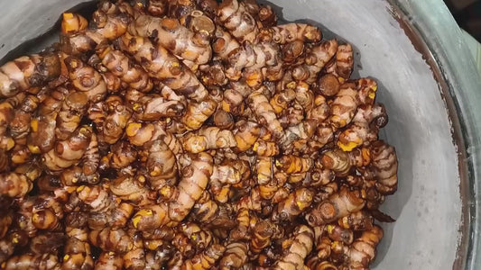 UG® Haldi Powder Amba Haldi (Turmaric Powder)